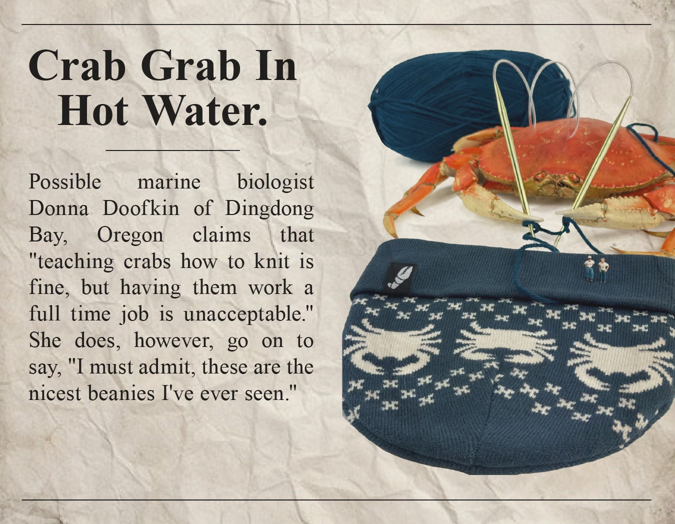 Newstory about crabs knitting Crab Grab beanies. Crab Grab in hot Water.