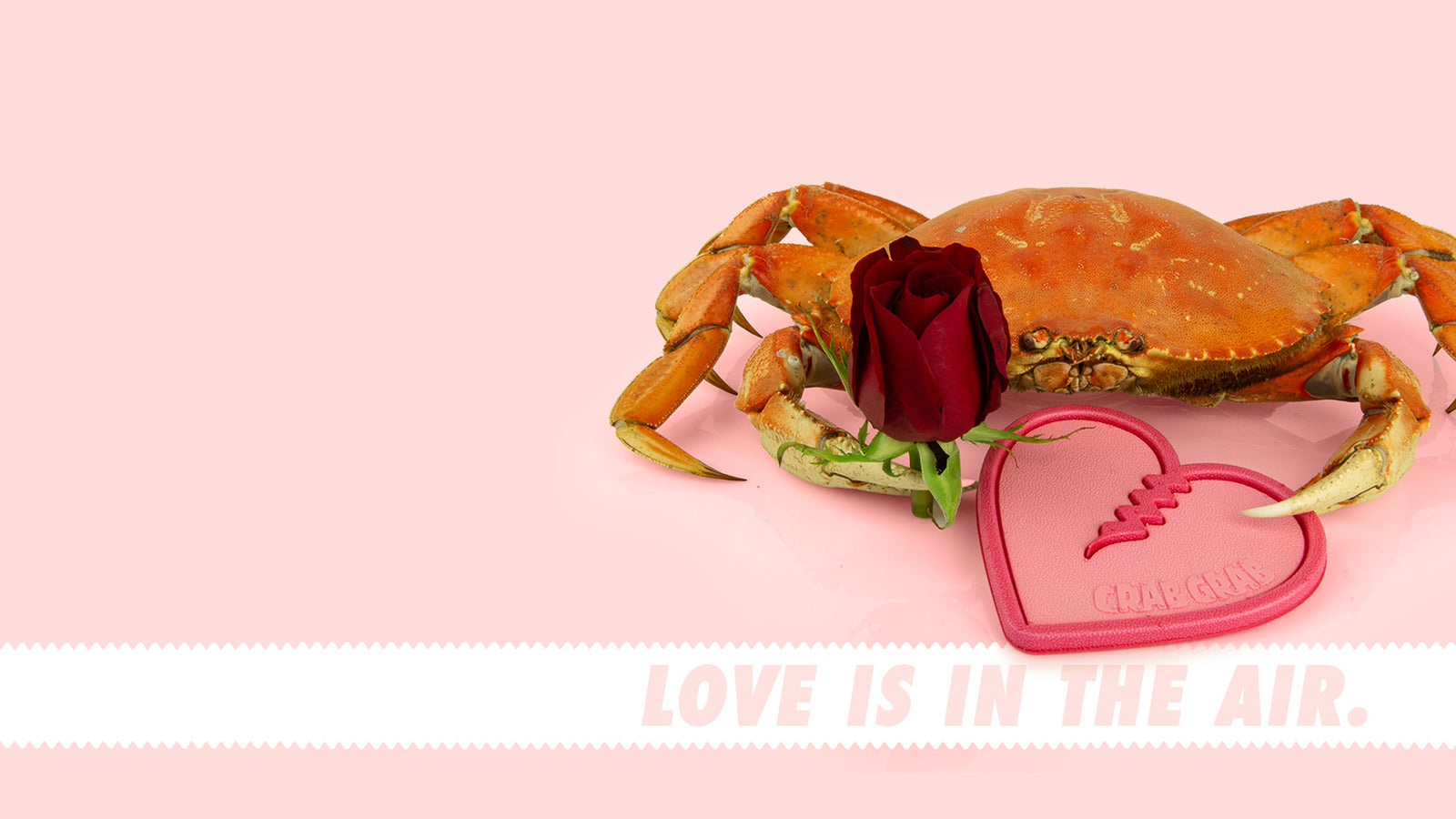 Crab holding a rose with a pink mega heart traction on a pink background, accompanied by the text 'Love is in the Air'.